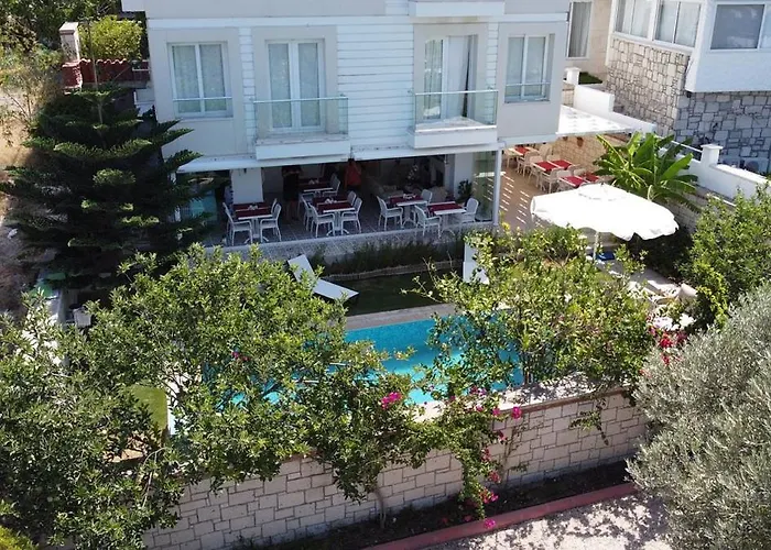 Lara Ilica Чешме